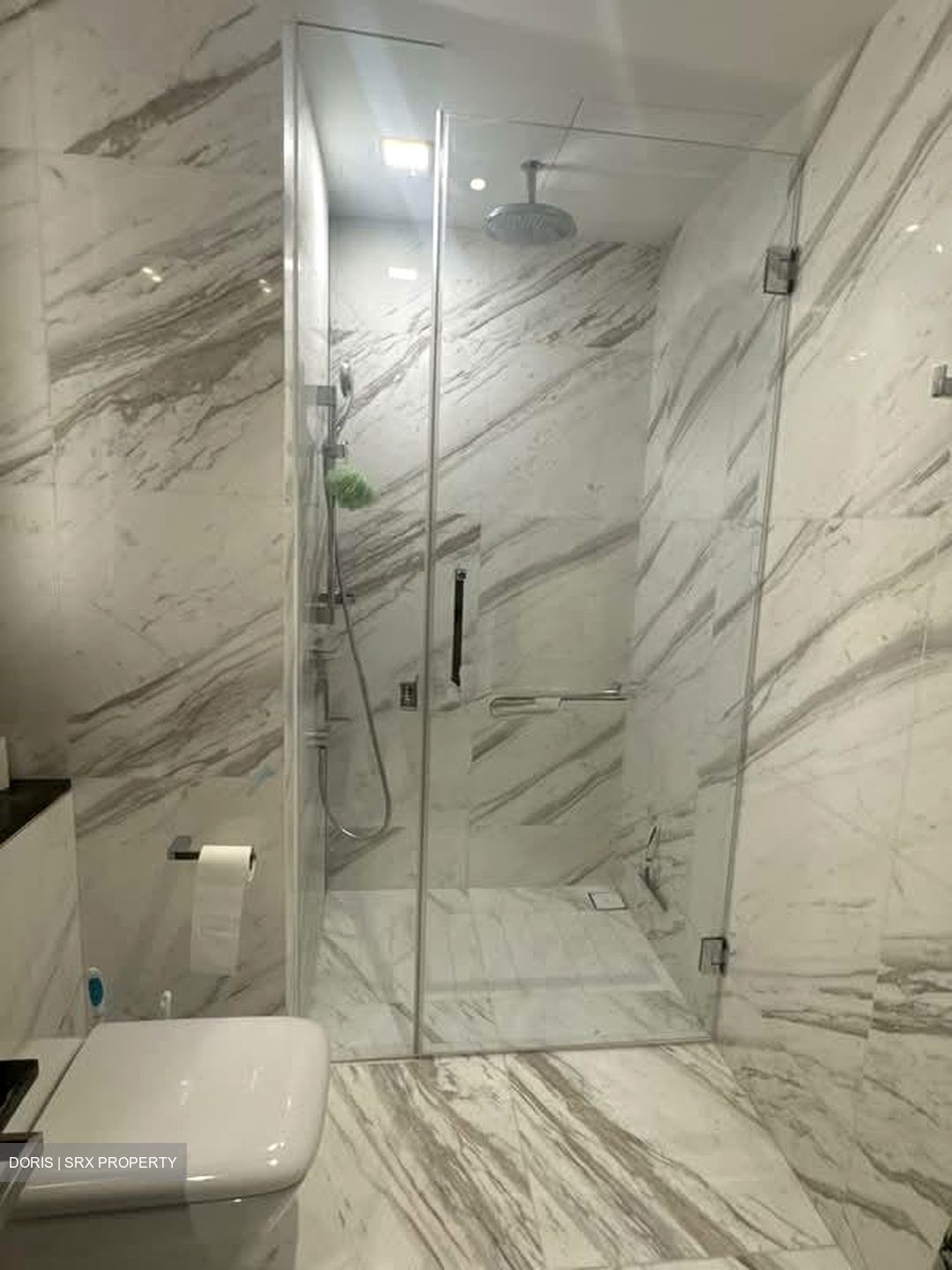 Wallich Residence  (D2), Condominium #543880971